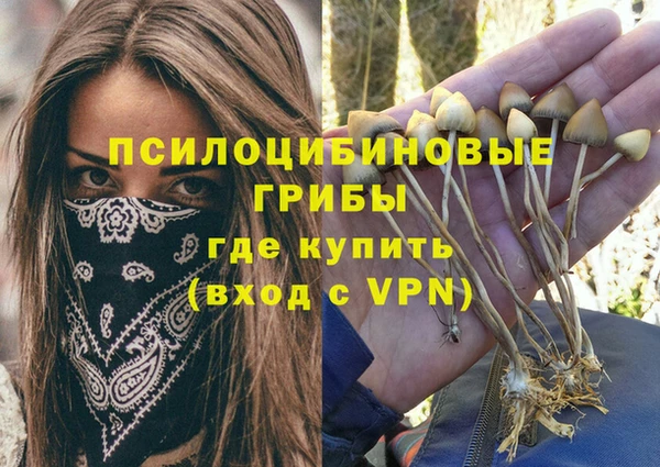 apvp Вязьма
