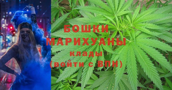 ПСИЛОЦИБИНОВЫЕ ГРИБЫ Володарск