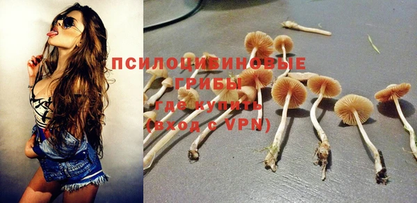 ПСИЛОЦИБИНОВЫЕ ГРИБЫ Володарск