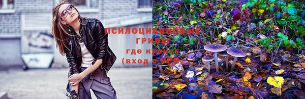 ПСИЛОЦИБИНОВЫЕ ГРИБЫ Володарск